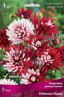 Георгина декоративная Ребекказ Уорлд (I) 1 шт 742007
