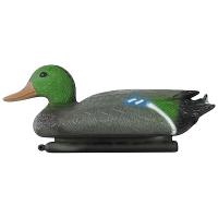 Уточка прудовая 002530