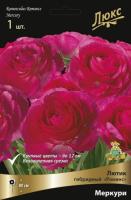 Лютик гибридный Романс Меркури /К 839686 Лютик гибридный Романс Меркури /К 839686