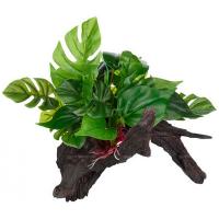 Коряга лесная LUCKY REPTILE Forest Wood Premium 37х25.5х27см (Германия) FWP-2