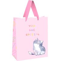 Пакет подарочный 18*23*10см "You are special" выб. лак, белый крафт MESHU/Рельеф