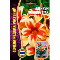 Адениум MORNING STAR 3шт