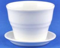 Кактусник Колибри Глянец бел. 10,5см/510627