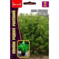 Сосна кустовая Муугус 10 шт