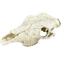 Грот Череп бизона Nomoy Pet 21х7,5см/NMP-NS-74