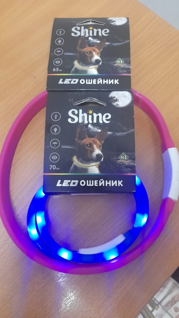 Умные устройства для домашних питомцев