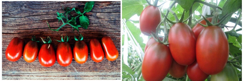 шоколадный заяц.jpg шоколадный заяц.jpg