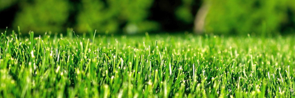 подговка-почвы.png подговка-почвы.png