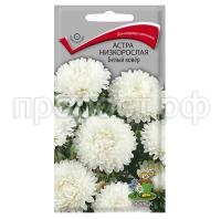 Астра-низкорослая-Белый-ковер-0,2г-Поиск Астра-низкорослая-Белый-ковер-0,2г-Поиск
