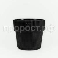 121-1000x1000 121-1000x1000