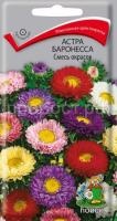 Астра Баронесса Смесь окрасок Астра Баронесса Смесь окрасок