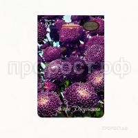 Астра Помпонная синяя Джульетта 200,5 Каприс Астра Помпонная синяя Джульетта 200,5 Каприс