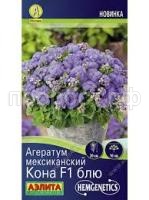 Без названия (7)