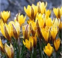 Без названия (9)