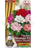 Без названия (10)