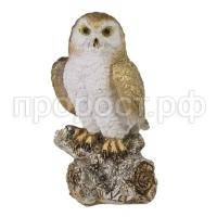 сова на коряге