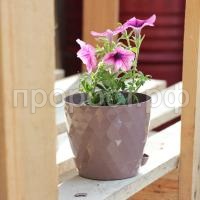 Румба-мокко-1-600x600