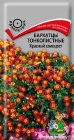 Бархатцы тонколистные Красный самоцвет Бархатцы тонколистные Красный самоцвет