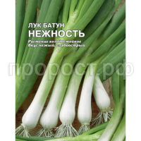 Лук батун Нежность 5г XXXL