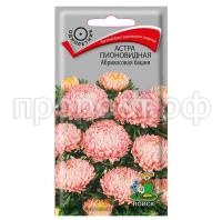 Астра-пионовидная-Абрикосовая-башня-0,3г-Поиск