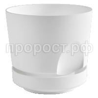 тренд бел. 4160 тренд бел. 4160