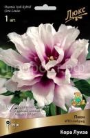 Пион ИТО-гибрид Кора Луиза-luxbt Пион ИТО-гибрид Кора Луиза-luxbt