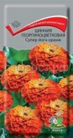 Цинния георгиноцветковая Супер йога оранж