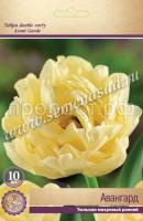 Тюльпан Авангард