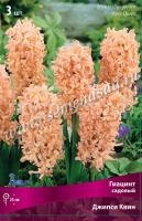 Джипси Квин