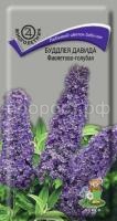 Буддлея Давида Фиолетово-голубая