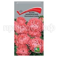 Астра-низкорослая-Лососевый-ковер-0,2г-Поиск Астра-низкорослая-Лососевый-ковер-0,2г-Поиск