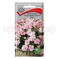 Бальзамин-Афина-Юнона-5шт-Поиск