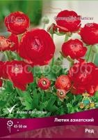 lutik_asia_red_kaper lutik_asia_red_kaper