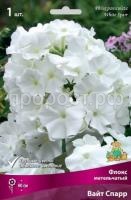 Флокс метельчатый Вайт Спарр Флокс метельчатый Вайт Спарр