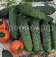 Огурец Реванш F1 Огурец Реванш F1