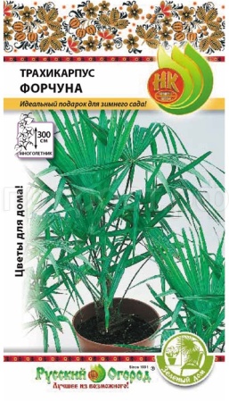 Пальма Трахикарпус Форчуна 5шт