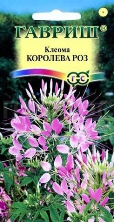 Клеома Королева роз 0,2 г