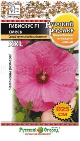 Гибискус Русский размер смесь F1 3шт