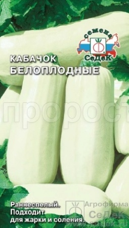 Кабачок Белоплодные 2г 