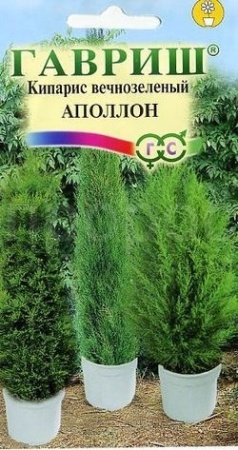 Кипарис Апполон вечнозеленый 0,1г