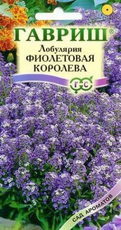 Лобулярия Фиолетовая королева 0,05 г