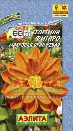 Георгина Фигаро Оранжевая махровая 7шт 