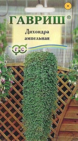 Дихондра ампельная 4шт