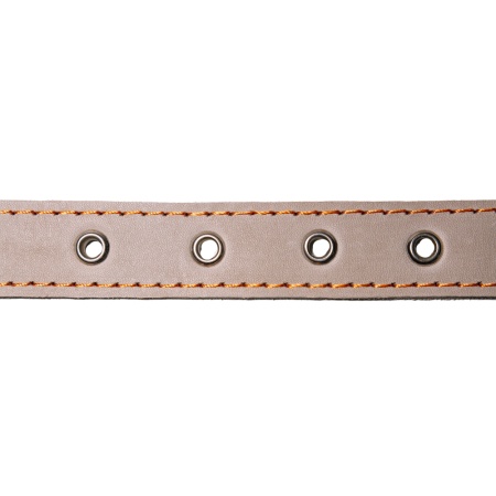 Ошейник кожа серый 1сл 30мм DONBARON