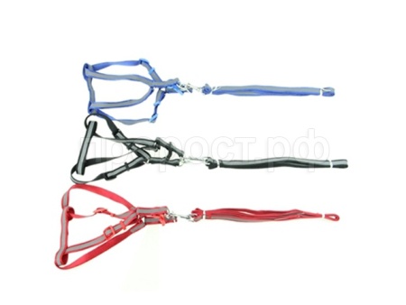 Комплект для кошек светоотражающий (поводок и шлейка)30758