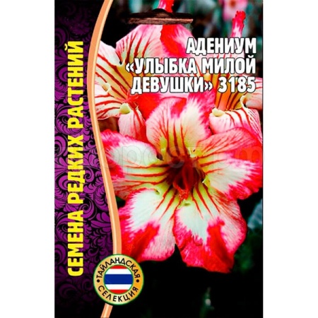 Адениум Улыбка милой девушки 3185 3шт