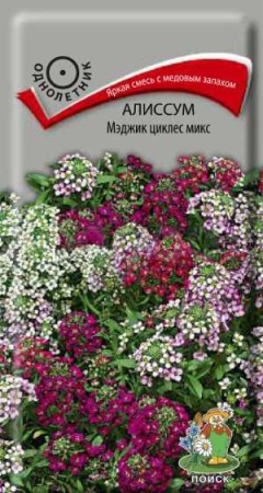 Алиссум Мэджик циклес микс 0,1г