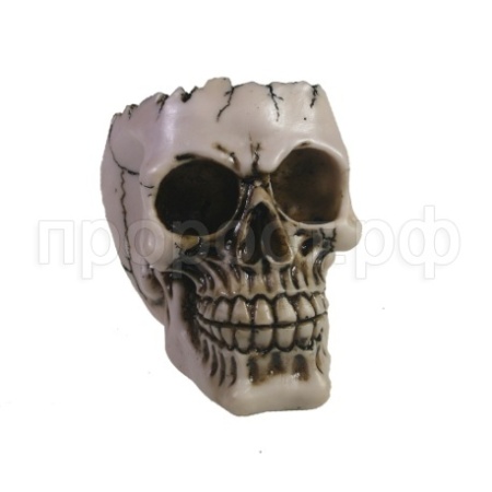 Череп L14W10H11см 715335