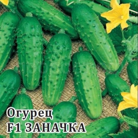 Огурец Заначка F1 250 шт
