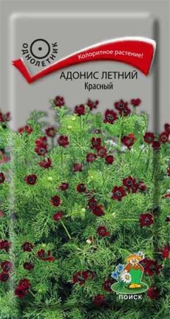 Адонис летний Красный 0,3г 